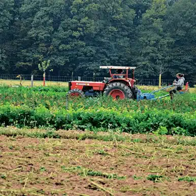 Champ étant labouré par un tracteur