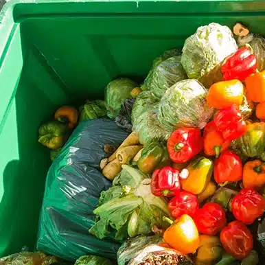 Fruit et légume dans une poubelle Lutte contre le gaspillage alimentaire